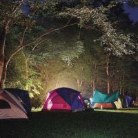 LED nabíjecí svítilna P2311, 300 lm, 2400 mAh_8 (7)