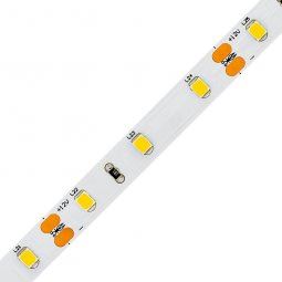 LED pásek OptiLED, modul 5cm, 4,8W, 6500K, 585lm, IP20   00217735
